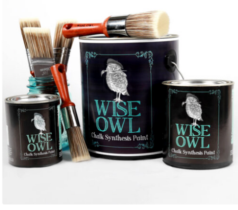 Wise Owl: Chalk Synthesis Paint