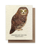 Northern Saw-Whet Owl Plantable Wildflower Seed Card