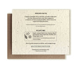 Bumble Bee Plantable Wildflower Seed Card