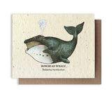 Bowhead Whale Plantable Wildflower Seed Card