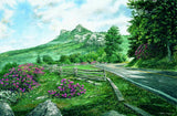 Grandfather Mountain 550 Piece Puzzle