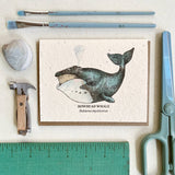 Bowhead Whale Plantable Wildflower Seed Card