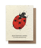Seven-Spotted Ladybug Plantable Wildflower Seed Card