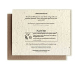 Bowhead Whale Plantable Wildflower Seed Card