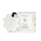 Spongelle - DAISY COLLECTION BOXED