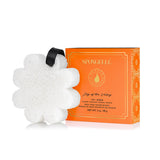Spongelle - DAISY COLLECTION BOXED