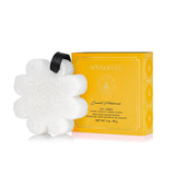 Spongelle - DAISY COLLECTION BOXED