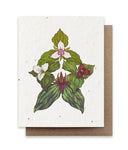 Trillium Compass Plantable Seeded Greeting Card