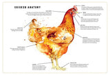 Little Book of Chickens, The : Jessica Ford