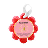 Spongelle - Wildflower Soap Sponges