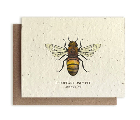 Honey Bee Plantable Seeded Greeting Card
