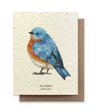 Bluebird Plantable Seeded Greeting Card