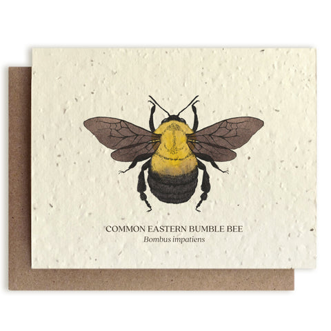 Bumble Bee Plantable Seeded Greeting Card