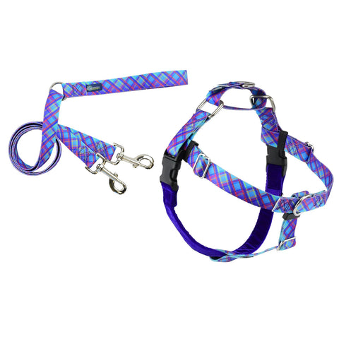 Medium EarthStyle Twilight Glow Freedom No-Pull Harness with Leash