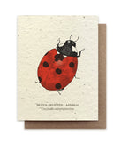 Ladybug Plantable Seeded Greeting Card
