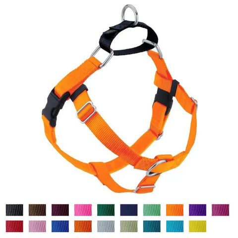 Large Neon Orange Freedom No-Pull Harness with Leash
